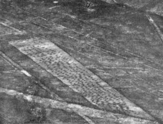 Эрих Фон Дэникен - Загадочные рисунки Наска