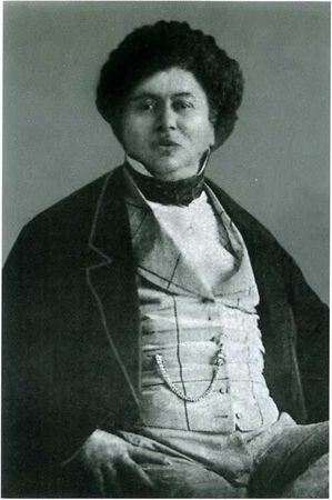 Элина Драйтова - Повседневная жизнь Дюма и его героев