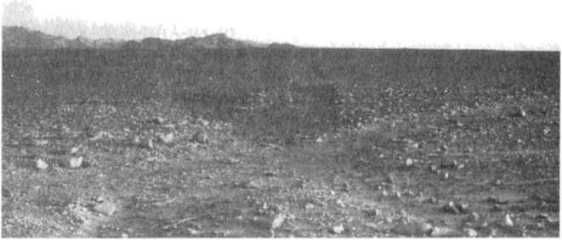 Эрих Фон Дэникен - Загадочные рисунки Наска