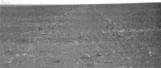 Эрих Фон Дэникен - Загадочные рисунки Наска