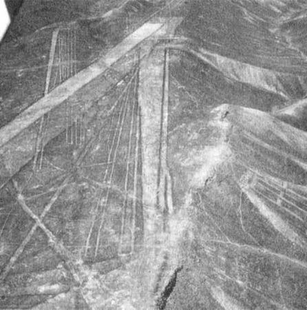 Эрих Фон Дэникен - Загадочные рисунки Наска