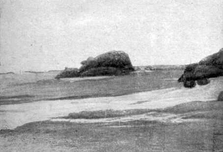 Анатолий Рождественский - На поиски динозавров в Гоби