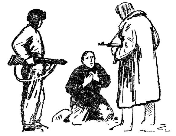 Генрих Гофман - Самолет подбит над целью