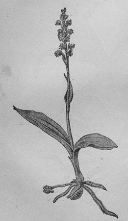 Илья Мечников - Этюды о природе человека