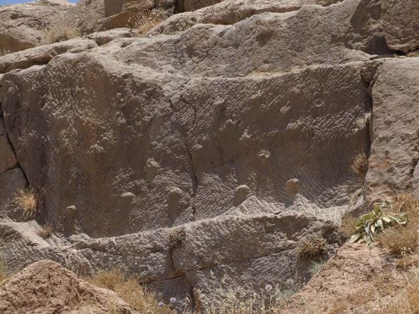 Андрей Скляров - Обитаемый остров Земля