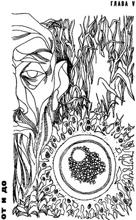 Игорь Акимушкин - Занимательная биология