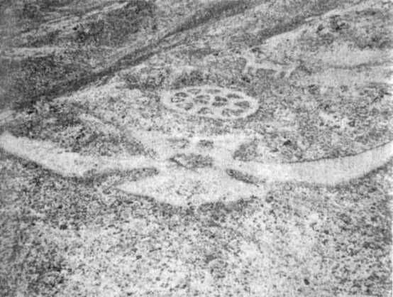 Эрих Фон Дэникен - Загадочные рисунки Наска