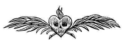 Смотри в корень!