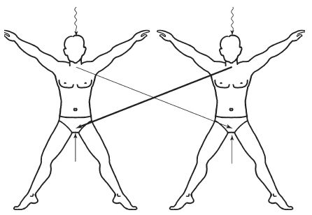 Дмитрий Верищагин - Освобождение. Система навыков Дальнейшего...