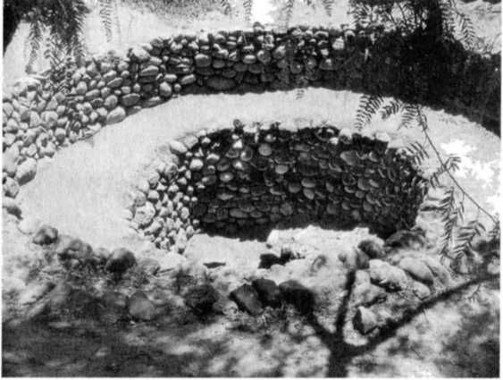 Эрих Фон Дэникен - Загадочные рисунки Наска