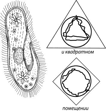 Константин Платонов - Занимательная психология