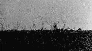 Джеймс Гордон - Почему мы не проваливаемся сквозь пол