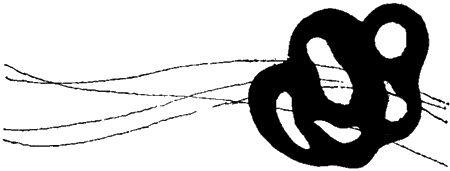 Игорь Акимушкин - Занимательная биология