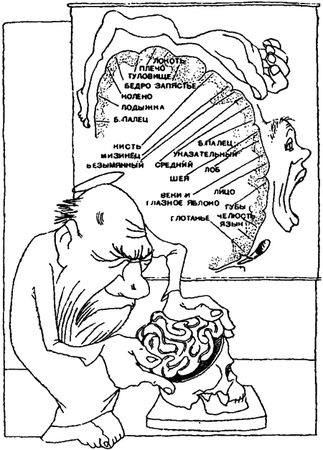 Игорь Акимушкин - Занимательная биология