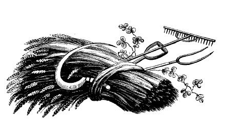 Козьма Прутков - Смотри в корень!