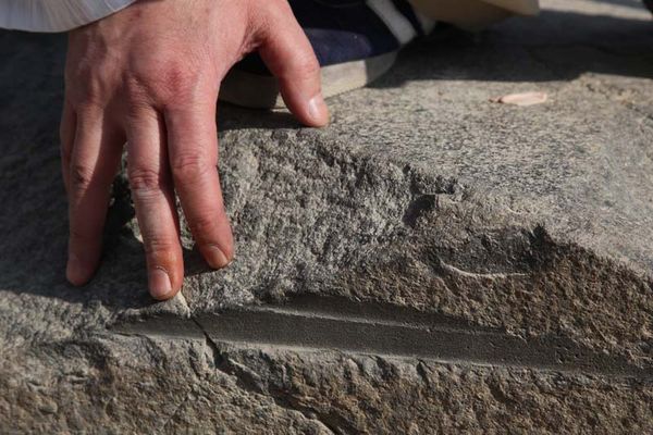 Андрей Скляров - Обитаемый остров Земля