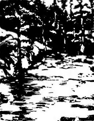 Иннокентий Козлов - Великий путешественник: Жизнь и деятельность Н. М....