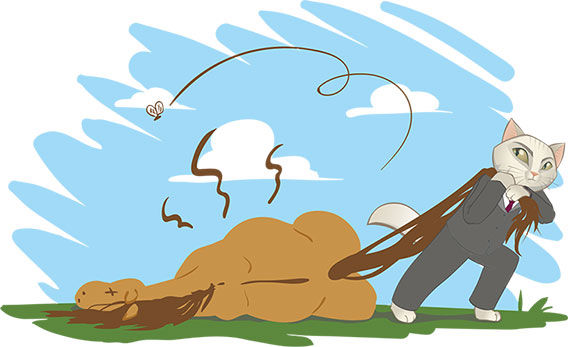 Максим Божко - "Слепая зона" правового конфликта: о чем не знают те,...