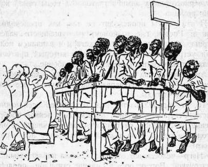 Казимир Добраницкий - В Америку и обратно