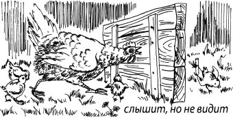 Константин Платонов - Занимательная психология