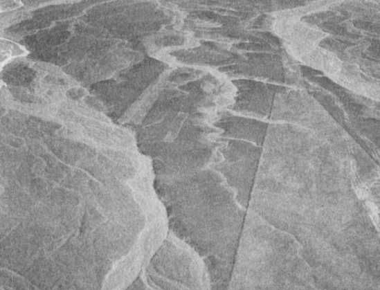 Эрих Фон Дэникен - Загадочные рисунки Наска