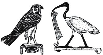 Джон Уайт - Боги и люди Древнего Египта