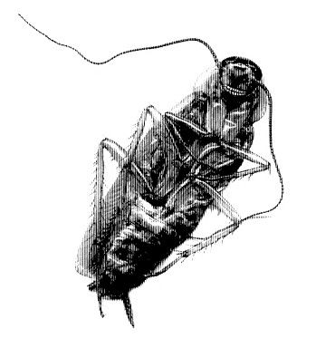 Козьма Прутков - Смотри в корень!