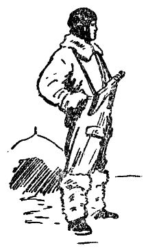 Генрих Гофман - Самолет подбит над целью