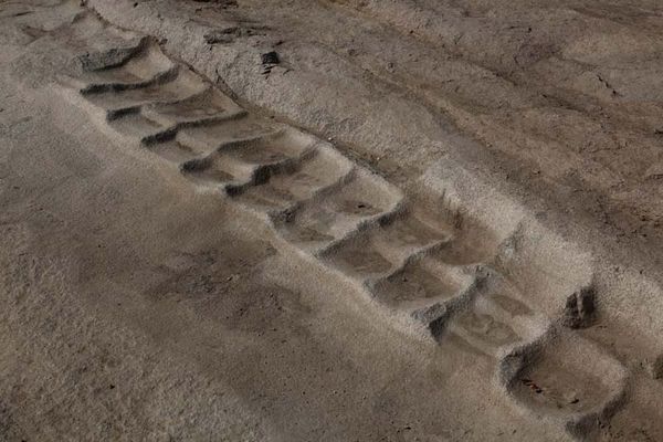 Андрей Скляров - Обитаемый остров Земля