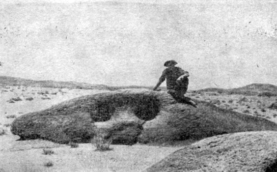 Анатолий Рождественский - На поиски динозавров в Гоби