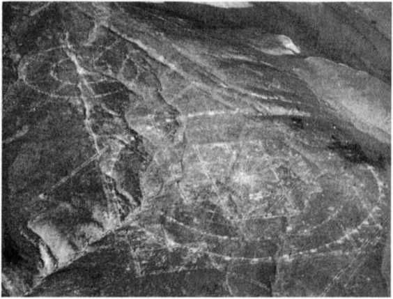 Эрих Фон Дэникен - Загадочные рисунки Наска