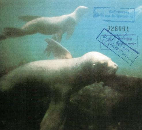 Жак-Ив Кусто, И. Паккале - Жизнь на краю земли