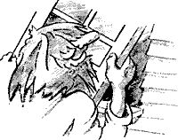 Жасмин Бланшет, Марк Саммерфилд - QT 4: программирование GUI на С++