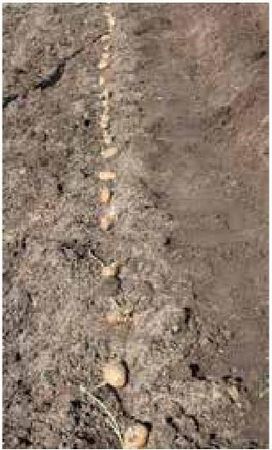 Алексей Казарин - Рабочий календарь дачника, или Рабочие будни на даче