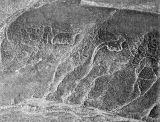 Эрих Фон Дэникен - Загадочные рисунки Наска