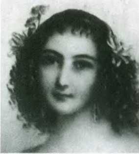 Элина Драйтова - Повседневная жизнь Дюма и его героев