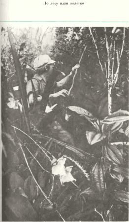 Хеймиш Макиннинс - Восхождение в затерянный мир