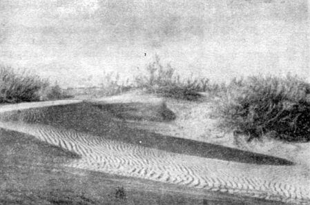 Анатолий Рождественский - На поиски динозавров в Гоби