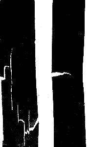 Джеймс Гордон - Почему мы не проваливаемся сквозь пол