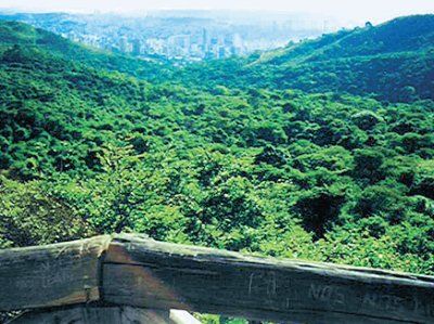 Мария Сигалова, Екатерина Печенихина - Бразилия