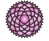 Чакры. Ключи к дверям силы. Введение в...