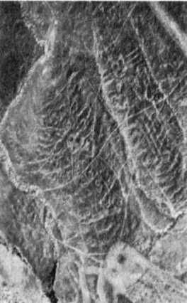 Эрих Фон Дэникен - Загадочные рисунки Наска