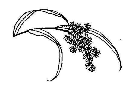 Роберт Гулик - Сексуальная жизнь в древнем Китае