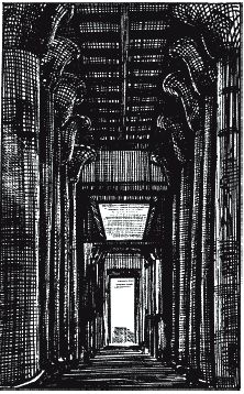 Джон Уайт - Боги и люди Древнего Египта