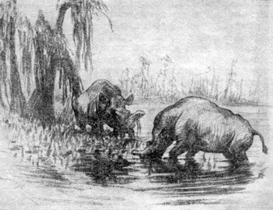 Анатолий Рождественский - На поиски динозавров в Гоби