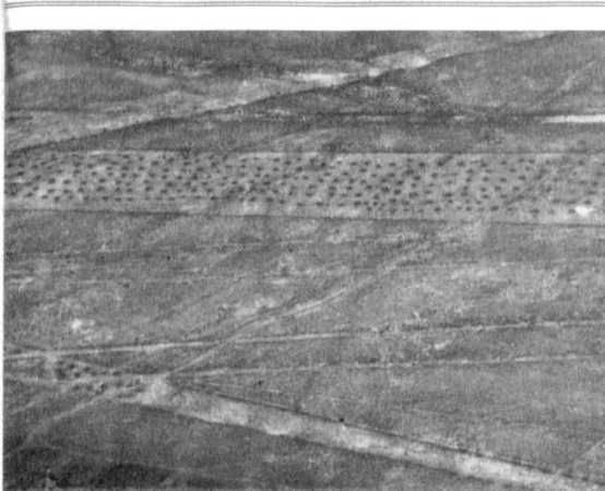 Эрих Фон Дэникен - Загадочные рисунки Наска