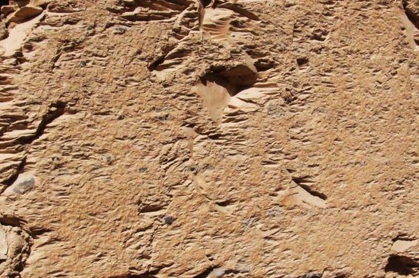 Андрей Скляров - Обитаемый остров Земля