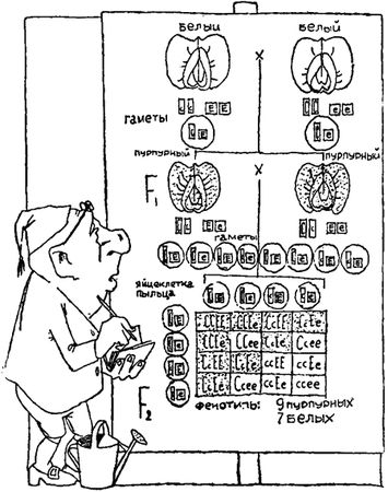 Игорь Акимушкин - Занимательная биология