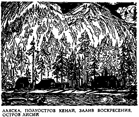 Рокуэлл Кент - В диком краю