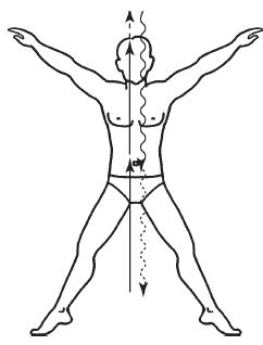Дмитрий Верищагин - Освобождение. Система навыков Дальнейшего...